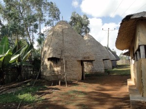 Cone-shaped Dorzé houses in the Arba Minch region