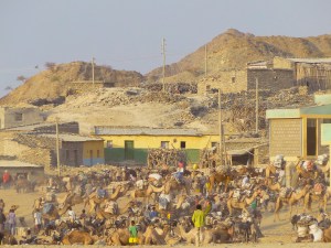 The salt market in Berhale in Afar country