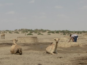 a water point in the middle of the Danakil desert