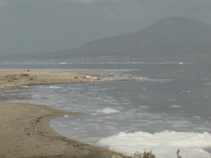 the shore of lake Afdera in the Danakil depression