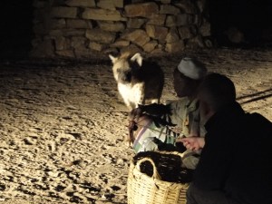 Feeding the hyenas at night outside Harar's walls