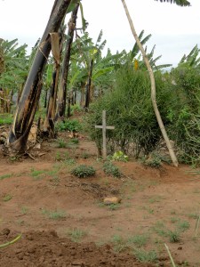 A family grave in a Rwandan farmer's backyard