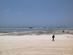 Eastern coast beach at low tide