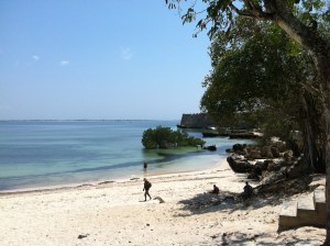 beach with the Fort in the background
